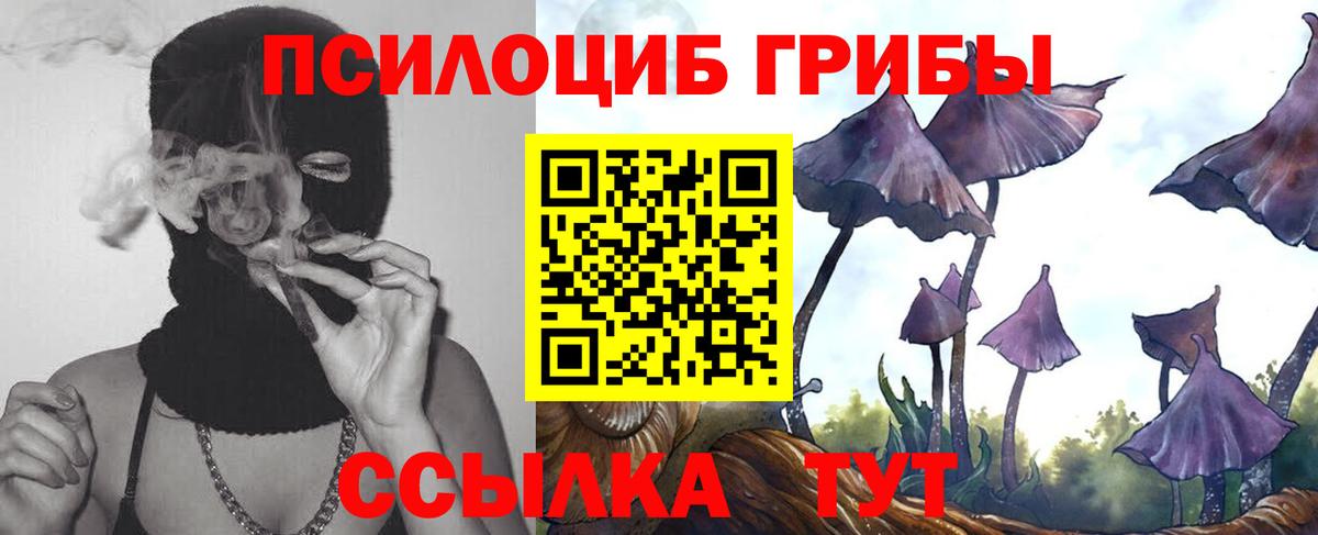 Псилоцибиновые грибы MAGIC MUSHROOMS  Вход с VPN  Елабуга  Галлюциногенные грибы Magic Shrooms 