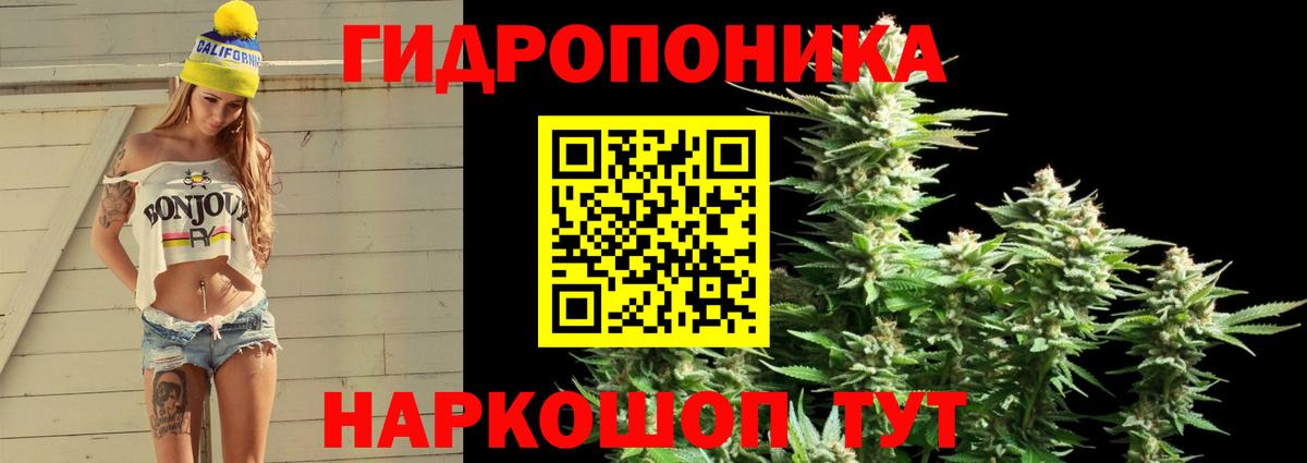 Елабуга  Шишки марихуана гибрид  Вход с VPN  Шишки марихуана White Widow  Бошки Шишки Ganja 